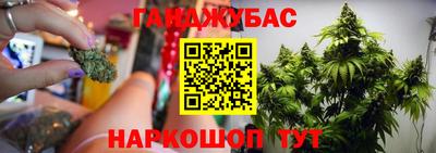 метадон Сланцы