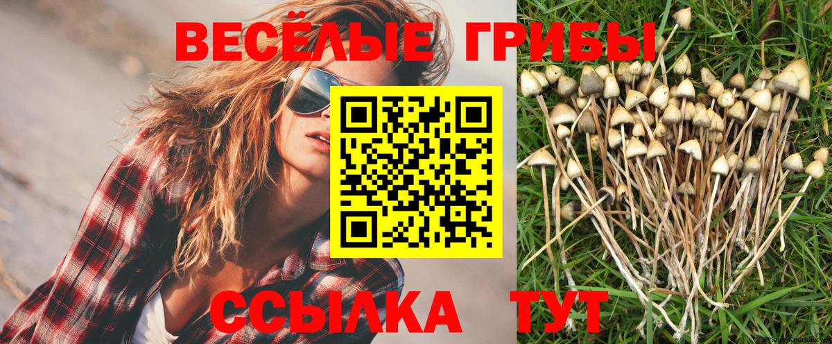 Реутов  Галлюциногенные грибы GOLDEN TEACHER  Вход с VPN 