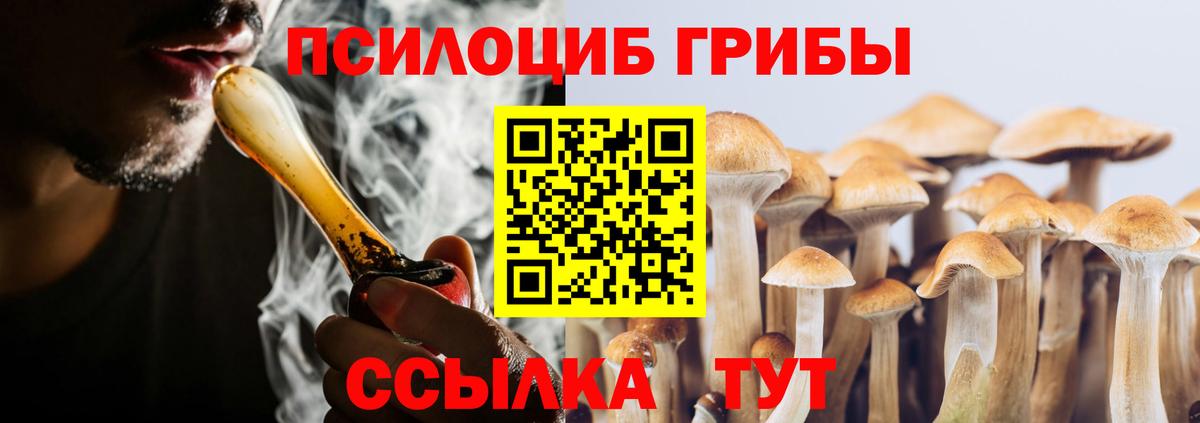 Галлюциногенные грибы Psilocybine cubensis Реутов
